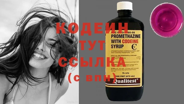 молекула духа Балахна