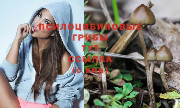 трава Баксан